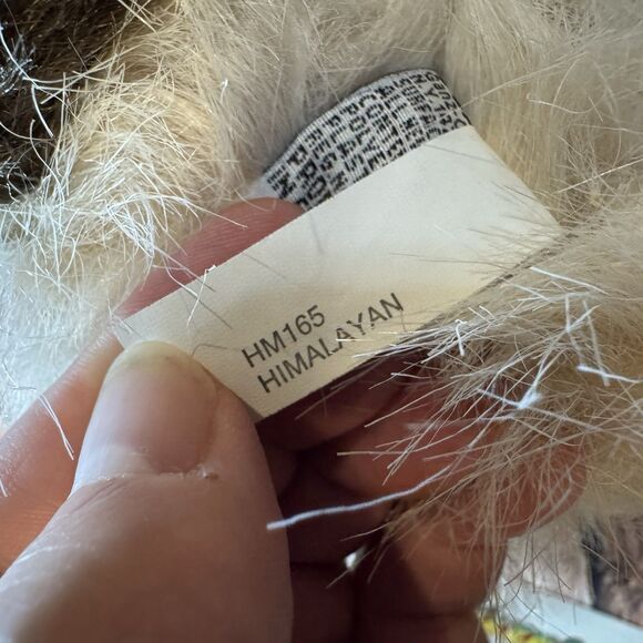 Ganz Webkinz Himalayan Cat Plush HM165 Stuffed Animal Kitty Blue Eyes NO Code - Picture 10 of 10